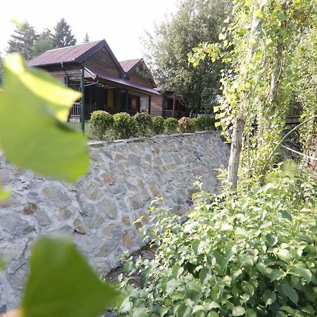 Brvnare Ala Vrdnik Villa Buitenkant foto