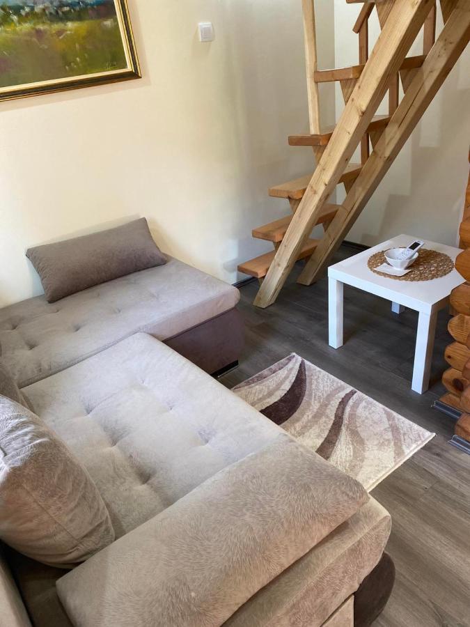 Brvnare Ala Vrdnik Villa Buitenkant foto