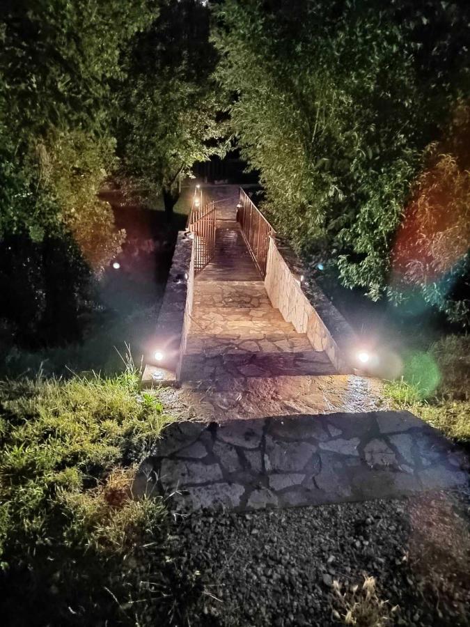 Brvnare Ala Vrdnik Villa Buitenkant foto