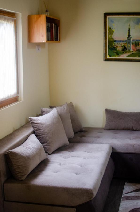 Brvnare Ala Vrdnik Villa Buitenkant foto